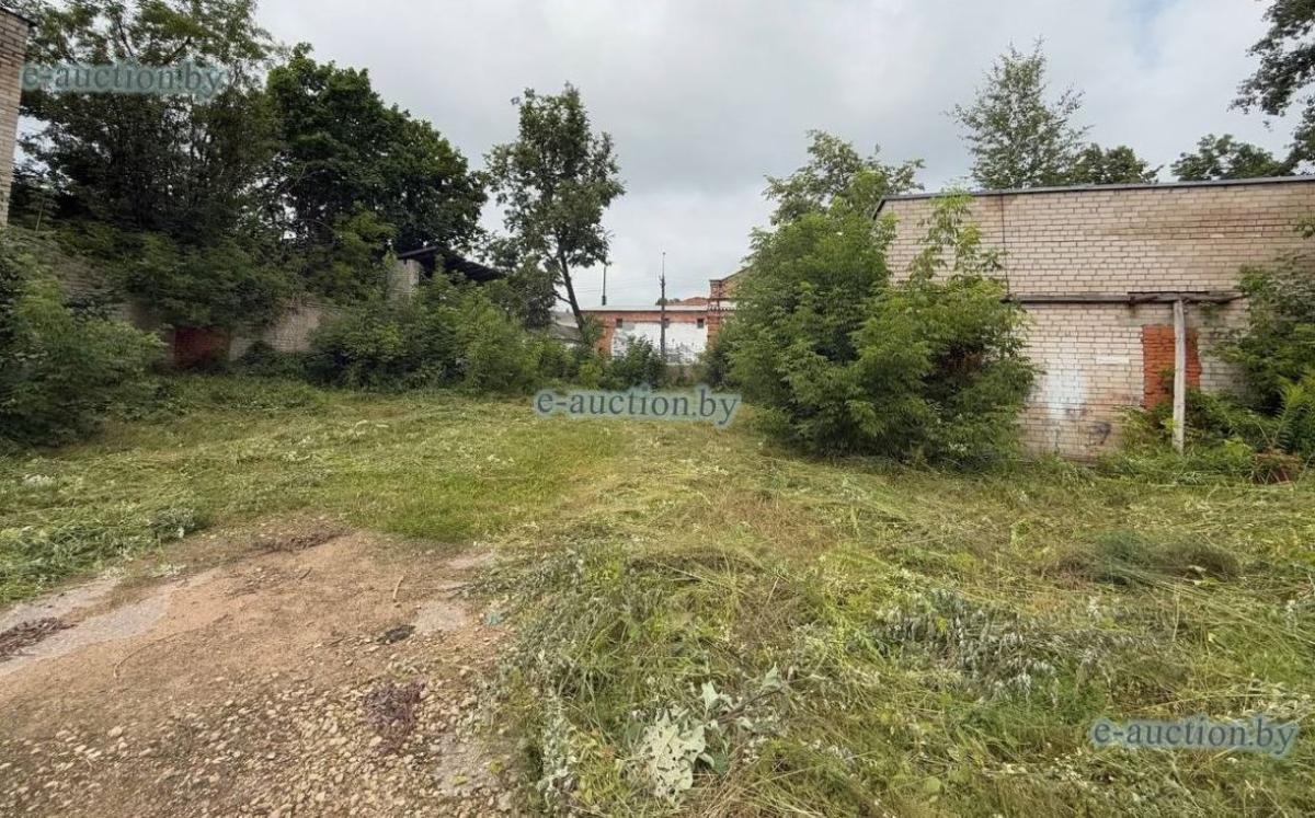 В Витебске продают участок, где может появиться квартал Шагала