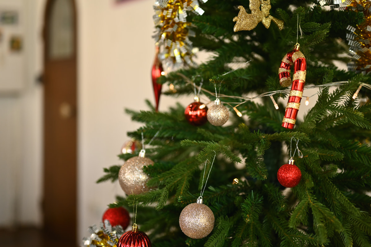 Посланник Трампа, «эффект Долиной» в Беларуси и батл офисных елок — вся неделя за три минуты