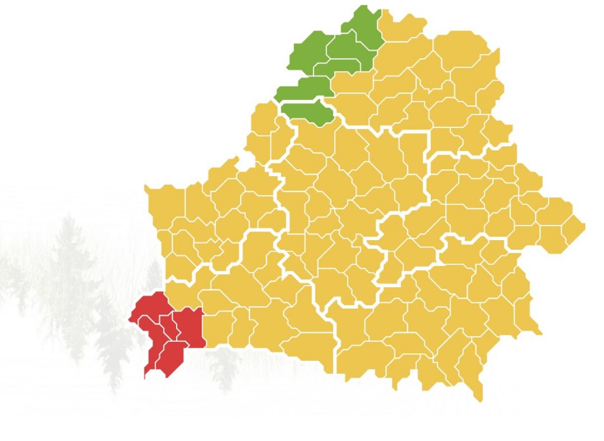 Ограничений на посещение лесов нет только в шести районах Беларуси
