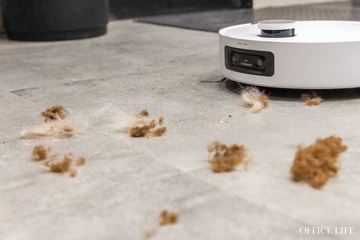 Ни одна собака не пострадала! Как мы тестировали робот-пылесос в салоне для животных