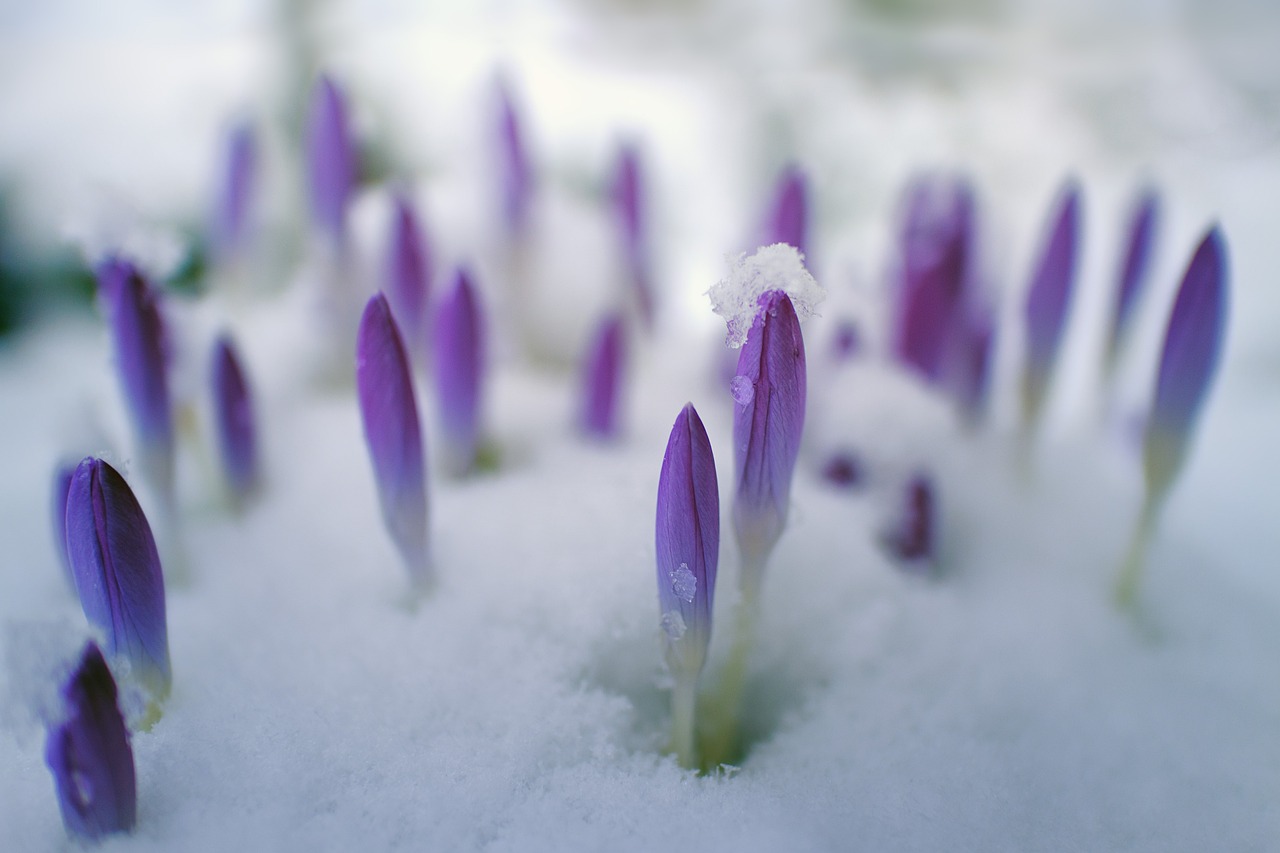 Снова мокрый снег? Какая погода будет в Беларуси на неделе с 18 марта