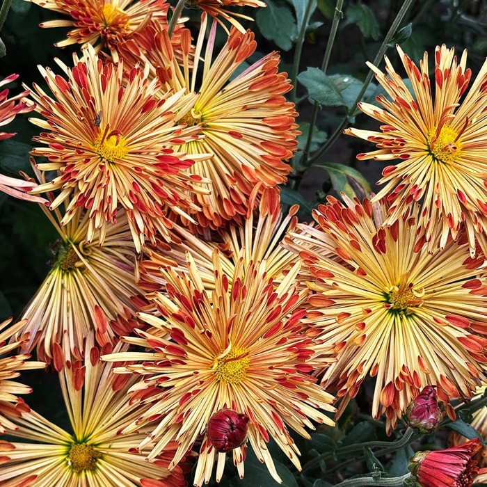 Открытие сезона в филармонии, «Мунк в аду» и базилики Рима: афиша с 15 по 21 сентября