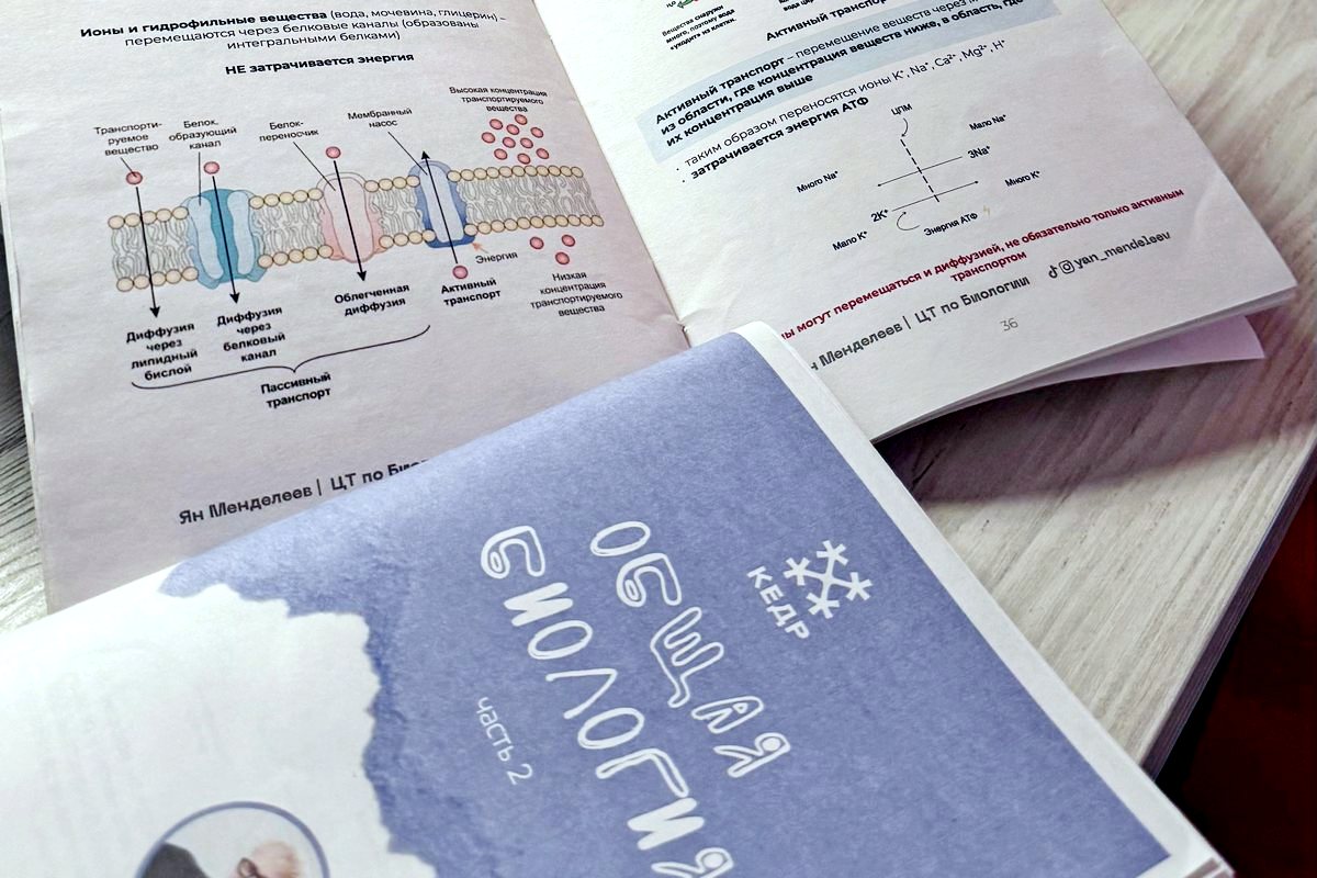 «Лунь болотный&nbsp;— это лягушка или растение?» Какие ошибки чаще всего допускают на&nbsp;ЦТ по&nbsp;биологии