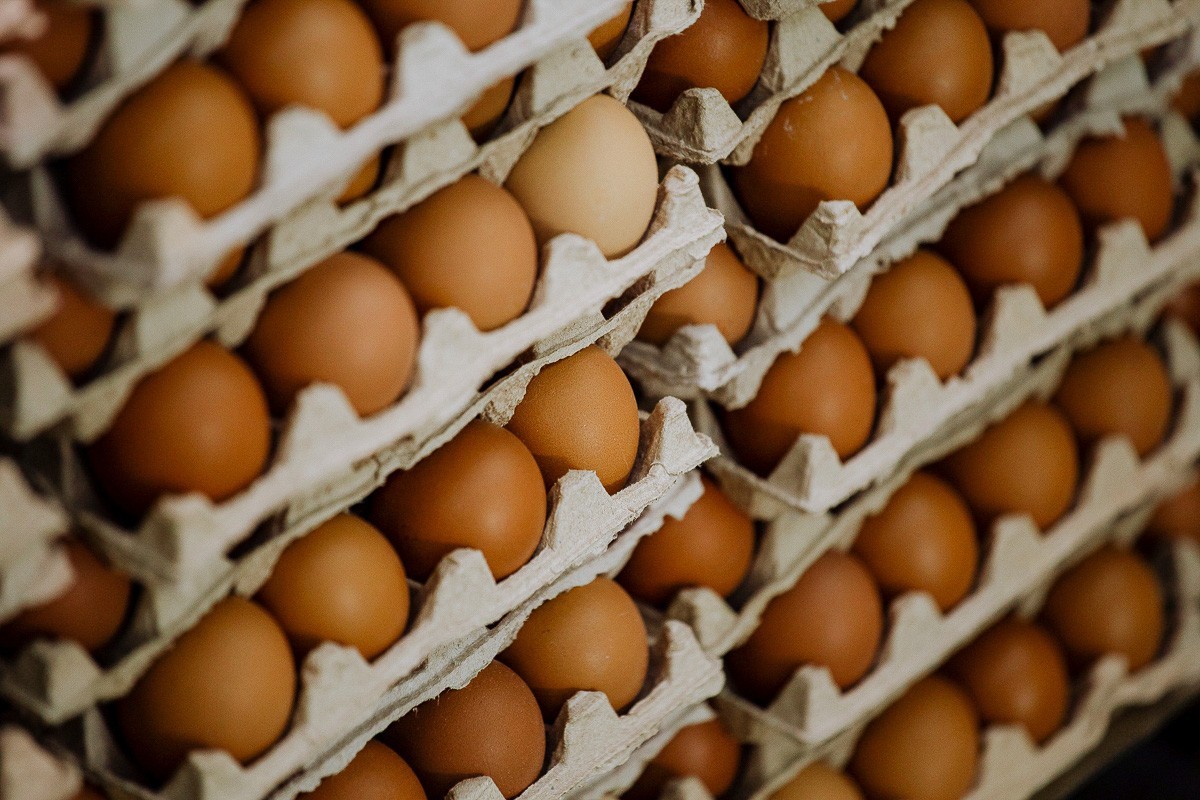 В Беларуси впервые с января 2025 года замедлилось производство яиц