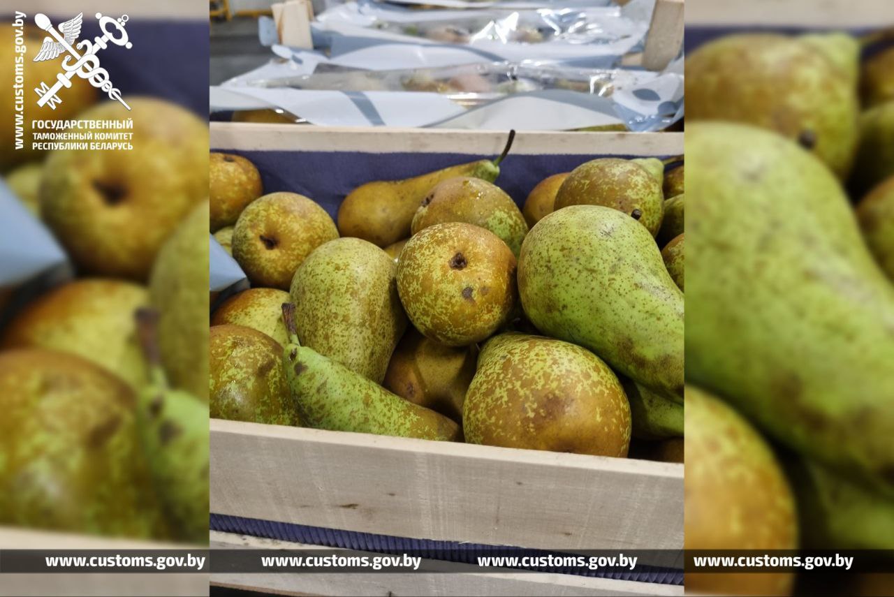 Таможня заблокировала вывоз груш в Россию на $700 тыс.