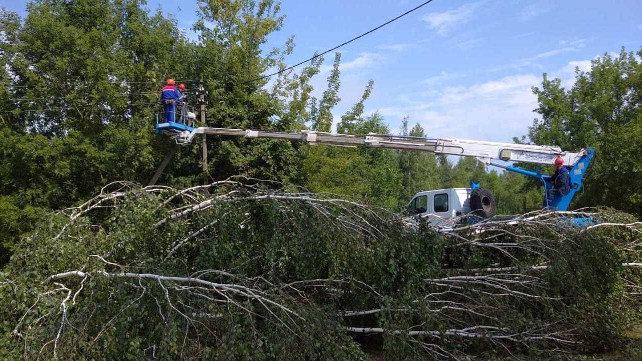 В Мозыре, Калинковичах и Наровле нет света. Как регион восстанавливают после урагана