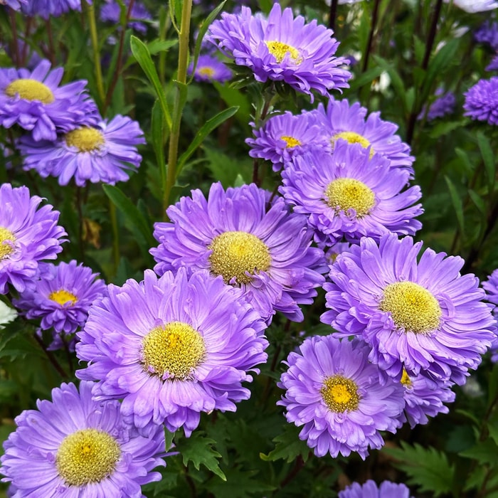 Открытие сезона в филармонии, «Мунк в аду» и базилики Рима: афиша с 15 по 21 сентября