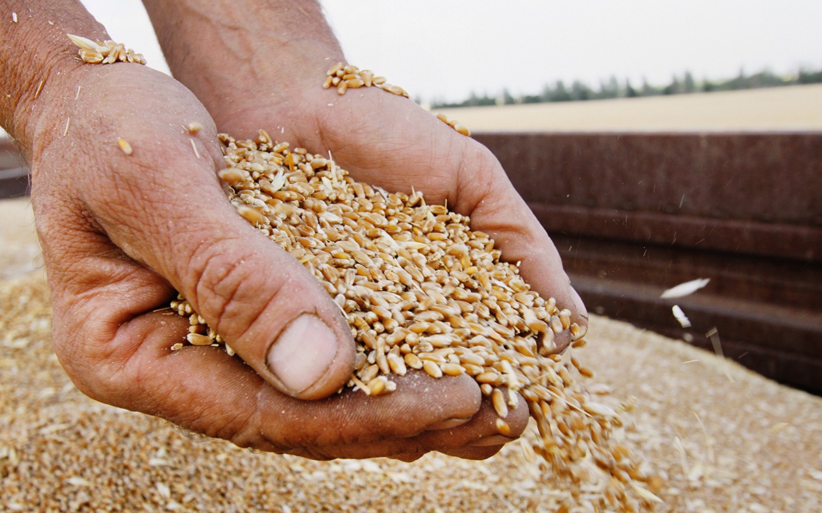 Зеленский сообщил, сколько продуктов экспортировала Украина по зерновой сделке