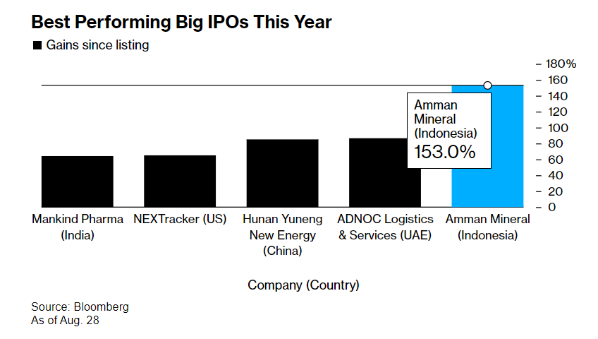 Самым успешным в 2023 году стало IPO сырьевой компании из Индонезии — плюс 150%