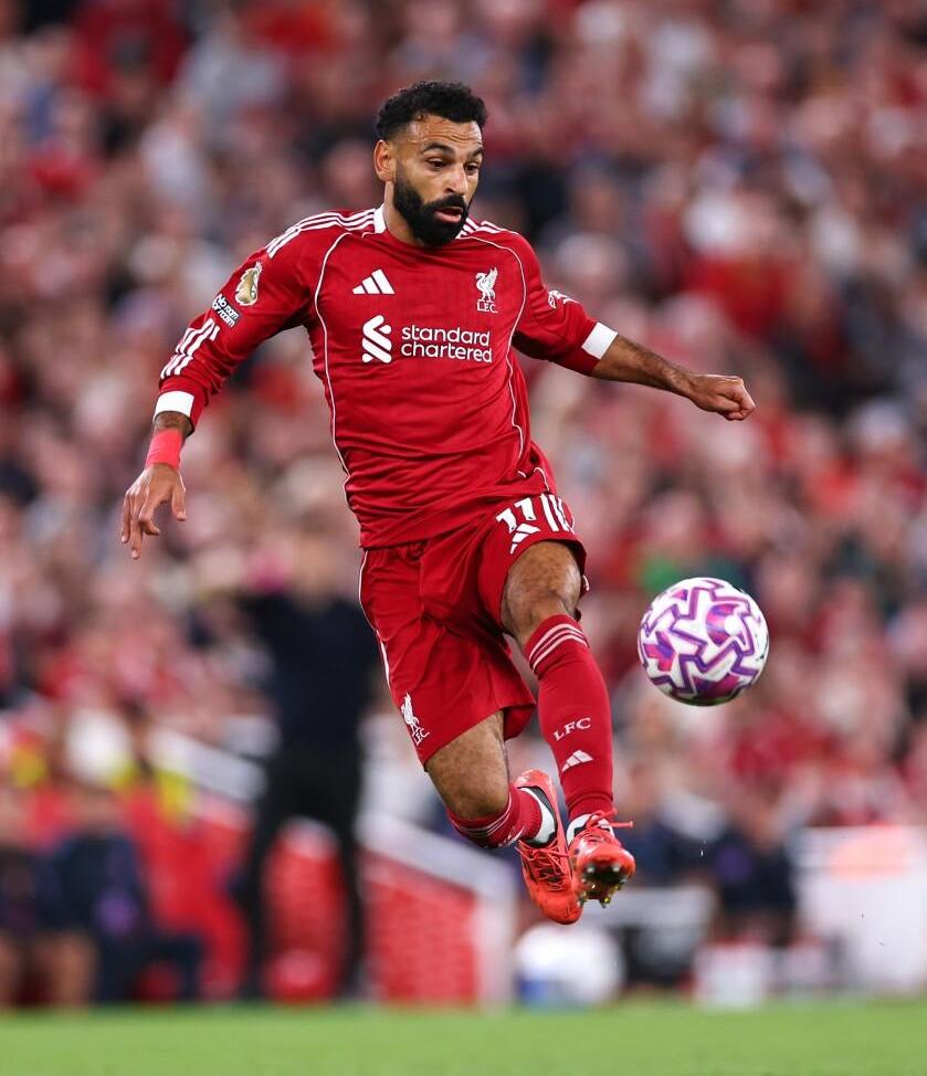 Лучший год «Динамо» и белоруска в «Битве полов»: за каким спортом следить в декабре