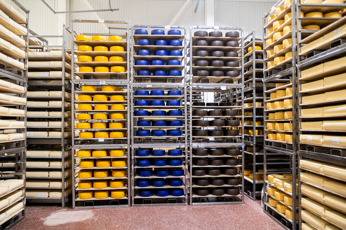 Как в Верхнедвинске делают «Пармезан», синий сыр и готовятся выпустить аналог «Джугаса»