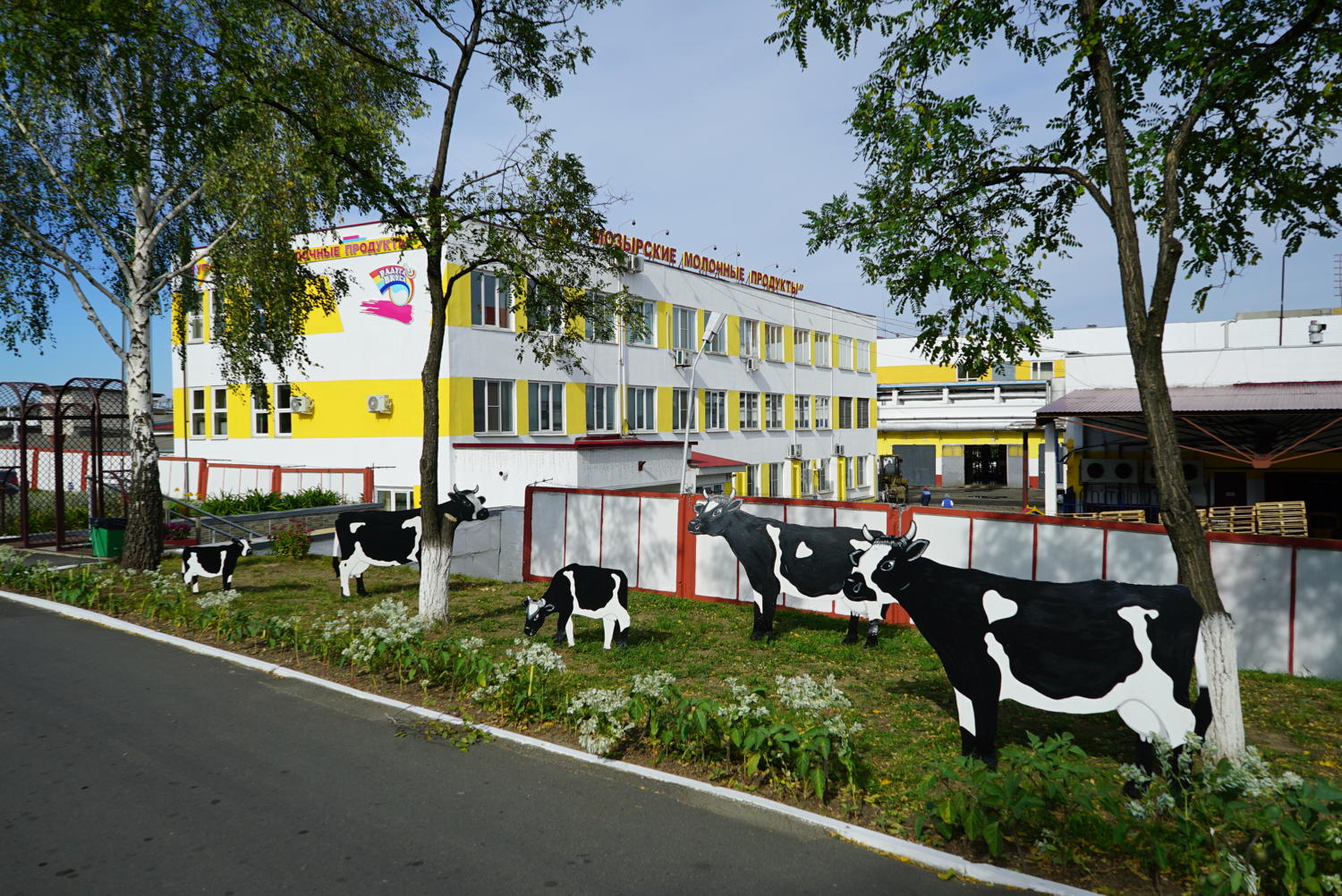 Слияния молочных компаний в Беларуси продолжатся