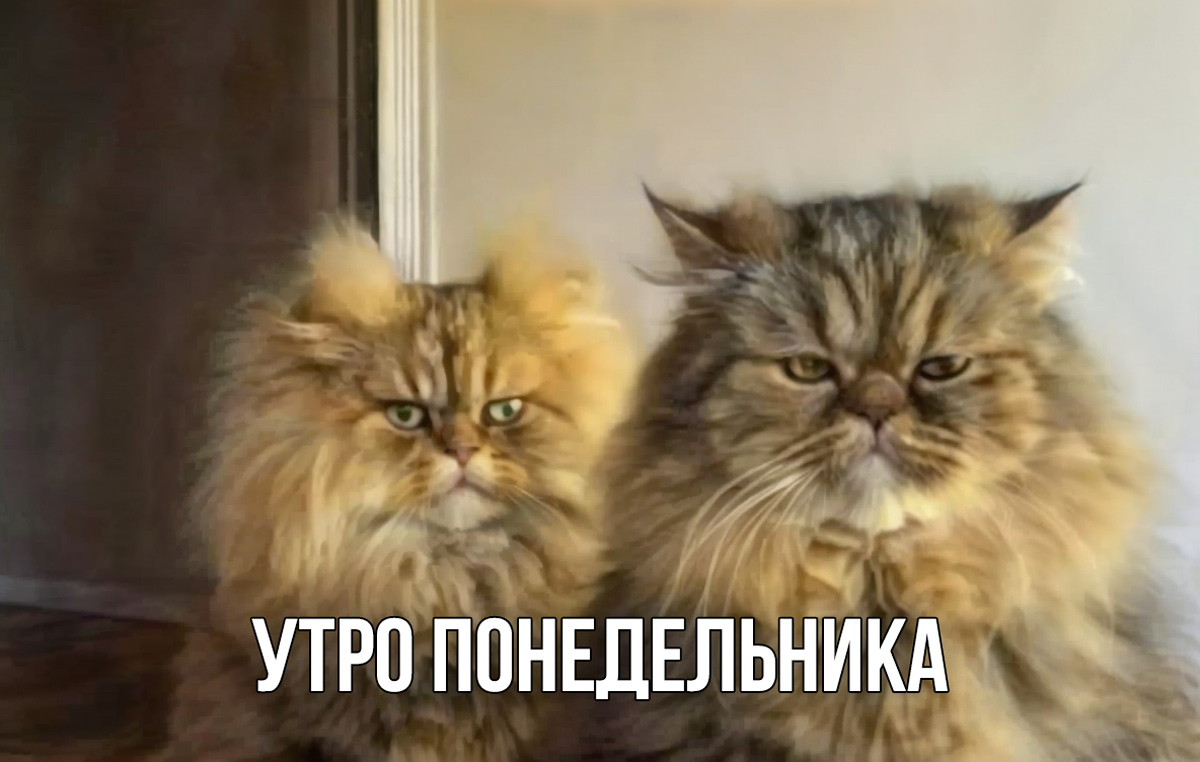 Шестая версия 713-го постановления и обвал рынков в США — неделя за три минуты