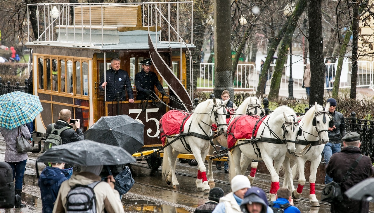 В Минске для туристов хотят запустить конку на лошадиной тяге