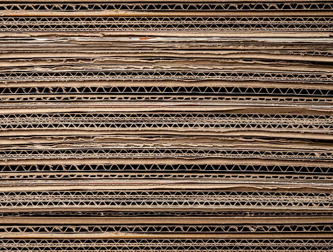 Лицензирование экспорта макулатуры могут продлить еще на полгода