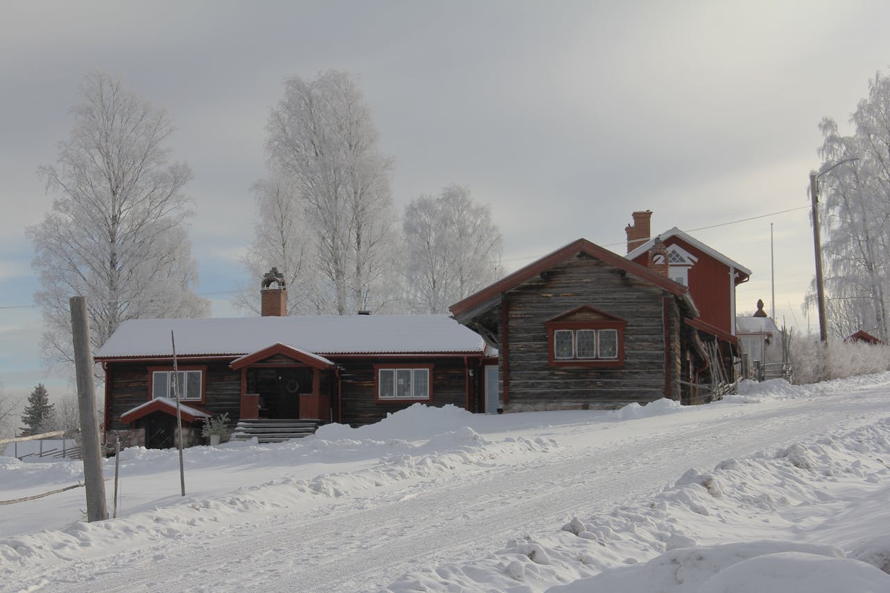 Сколько в Беларуси агроэкоусадеб