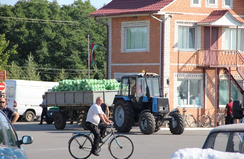 Стало известно, какая деревня в Беларуси - самая богатая