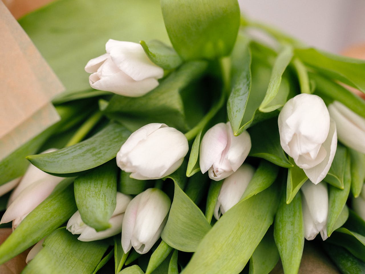 Российский бизнес доставки цветов Flowwow могут продать «Яндексу». Она работает и в Беларуси