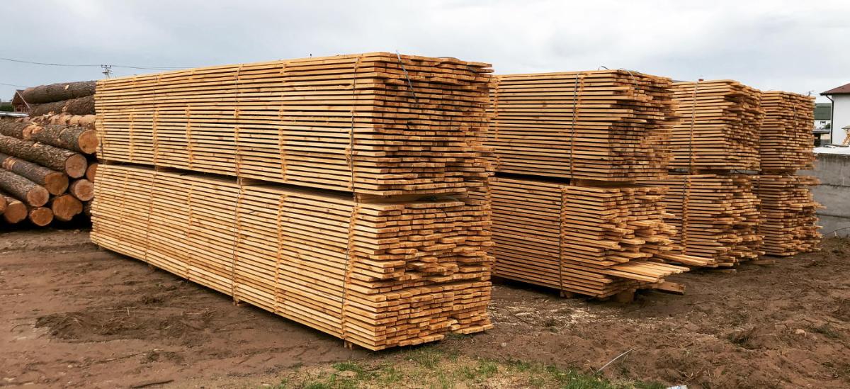 В Беларуси усилили ответственность за нецелевое использование древесины из фондов исполкомов 