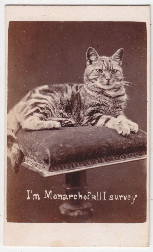 Первое в мире селфи, 13 фотоаппаратов на Луне и цифровая камера. Как телефоны научились снимать