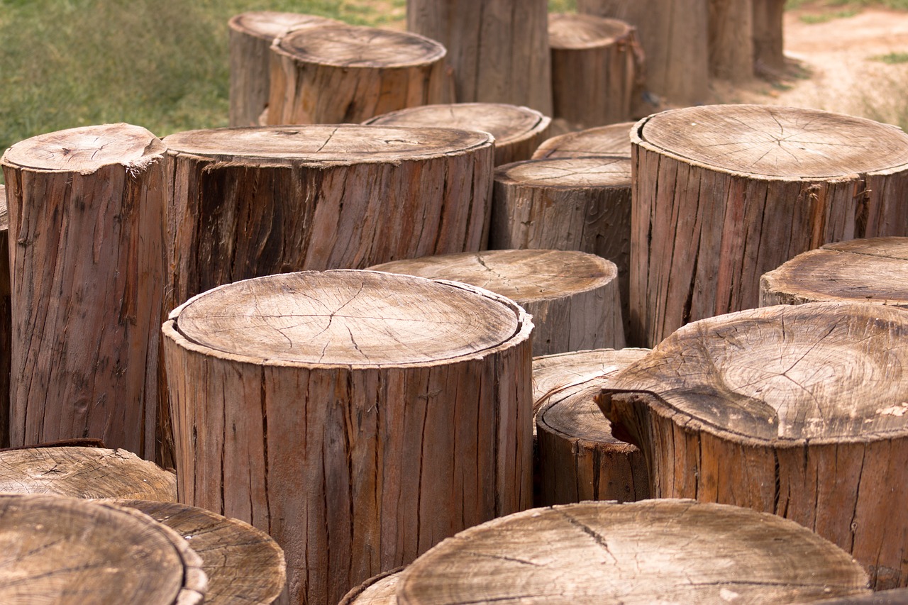 В Беларуси предлагают расширить список товаров из древесины, на импорт которых нужна лицензия