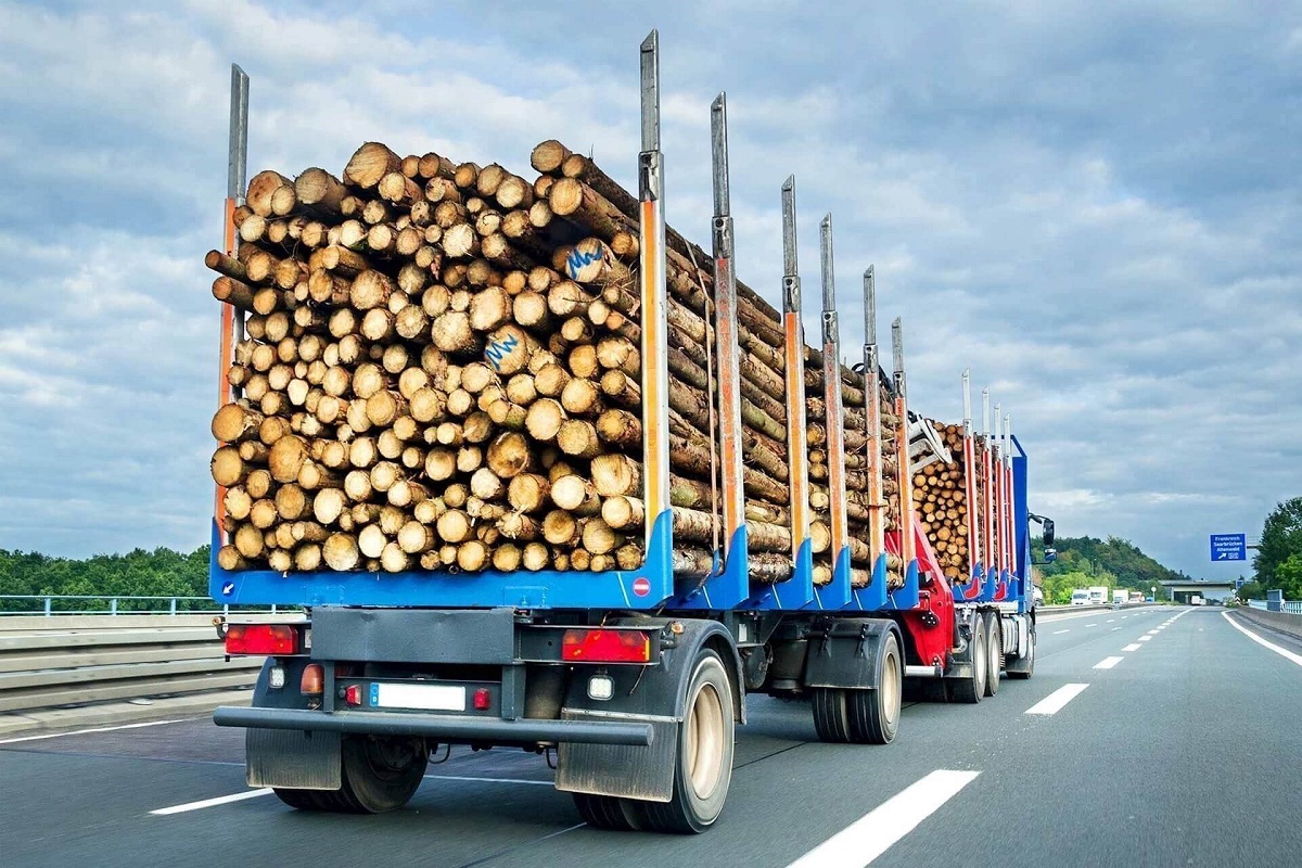 Россия увеличила количество пунктов пропуска для перевозки белорусских лесоматериалов