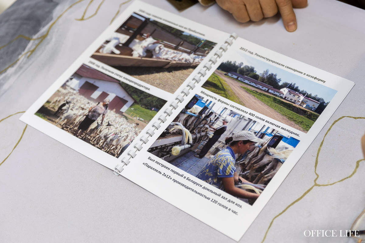 «Купите нас, недорого!» Что случилось с успешной козьей фермой и известным лабиринтом «Кукуполис»