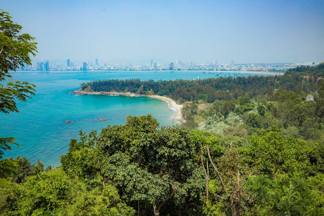 Полетную программу из Минска в Дананг. Что произошло