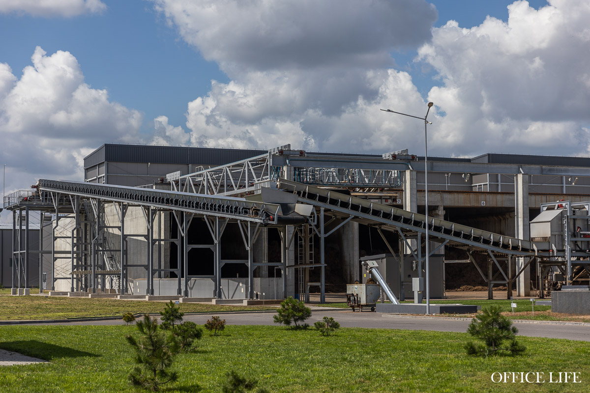 Шампиньон растет 31 день. Как под Кобрином делают грибницу с искусственным интеллектом