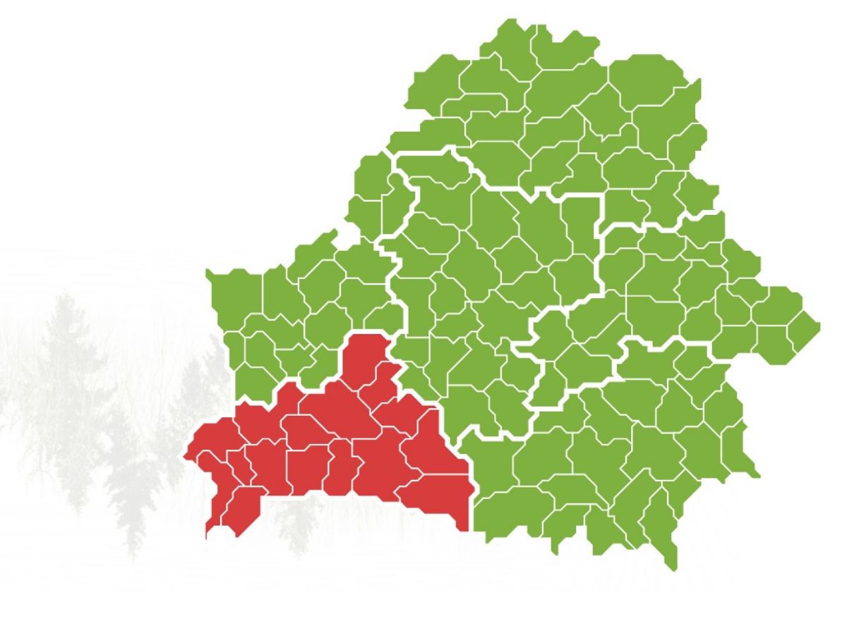 По всей Брестской области Беларуси запретили ходить в лес