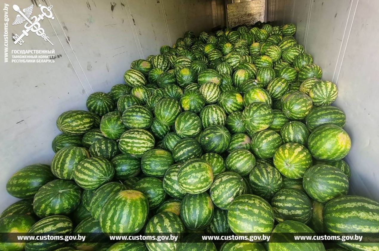 В Беларусь пытались незаконно провезти 3 тонны кокосов и 20 тонн арбузов