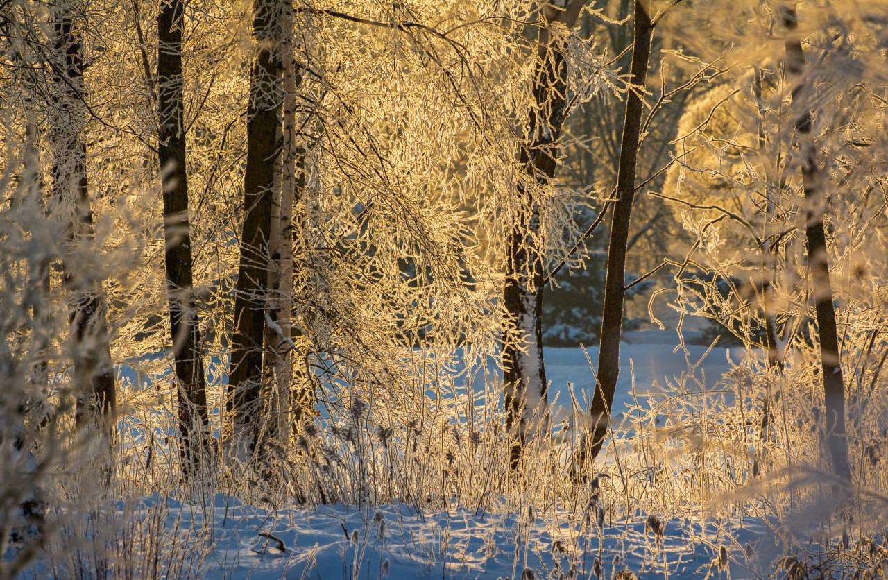 Из-за морозов в Беларуси почти в четыре раза выросли продажи термобелья