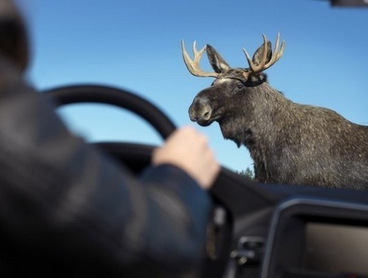 Итоги недели — в цитатах киногероев Алана Рикмана