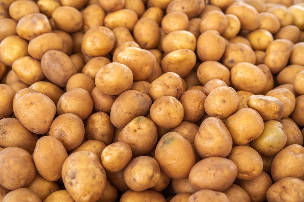 В Беларуси начали делать женские прокладки из картофеля