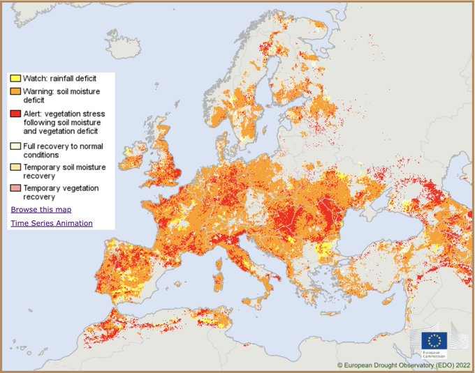 Еврокомиссия заявила о самой сильной засухе в Европе за 500 лет