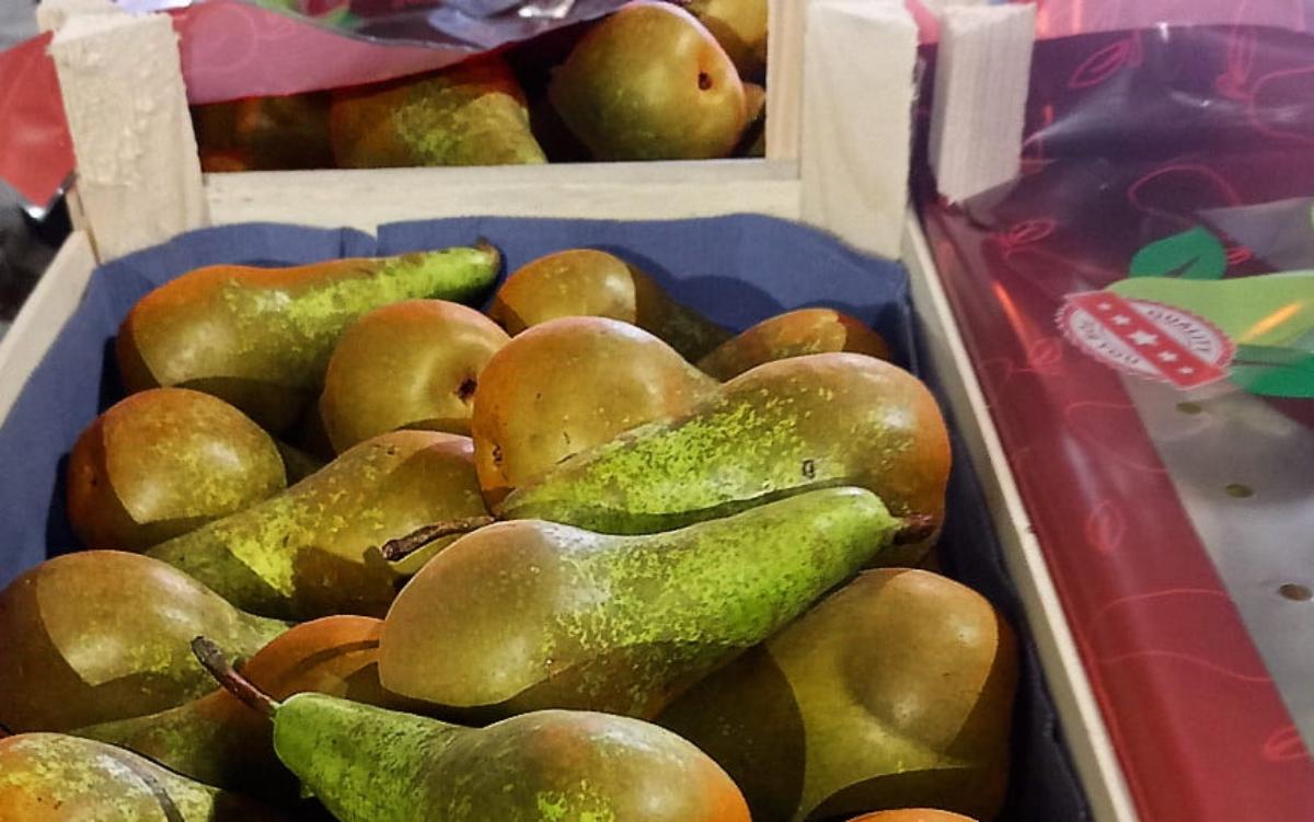 Из Беларуси в Россию не пропустили крупную партию груш