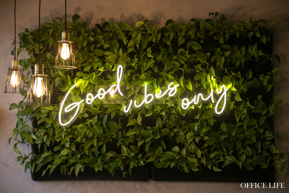 Не&nbsp;только Радзивиллы, но&nbsp;и&nbsp;Рагозы. Папа с&nbsp;дочкой открыли необычную гостиницу в&nbsp;центре Несвижа