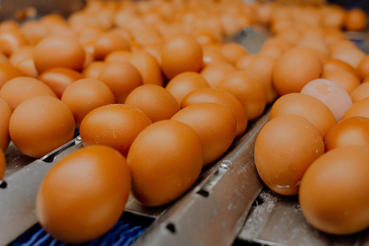 Россельхознадзор ограничил поставки продукции четырех белорусских компаний