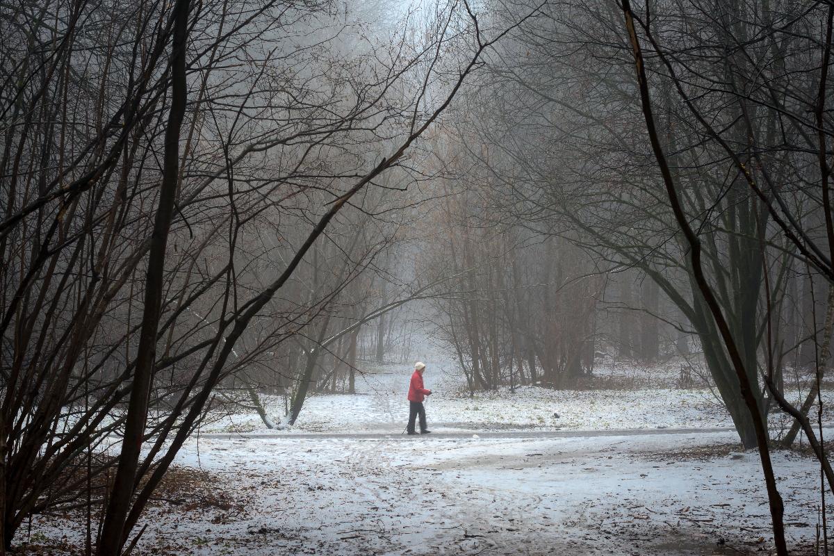 В Беларусь идет оттепель: будет до +3 °С и дожди
