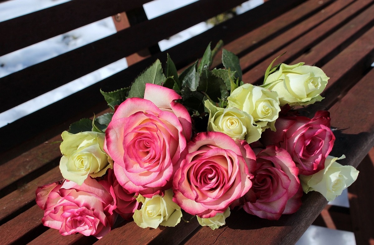 В Великобритании закрывается старейшая цветочная фирма. Она работает с 1765 года