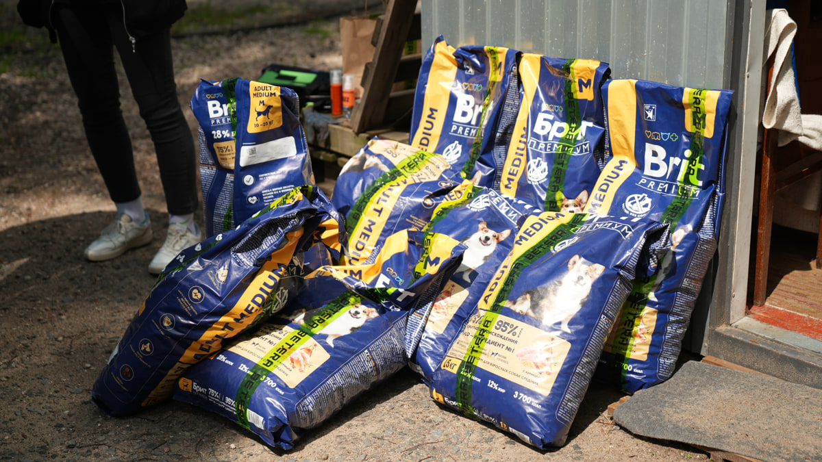 Как Betera объединяет сотрудников, блогеров и спорт ради помощи животным