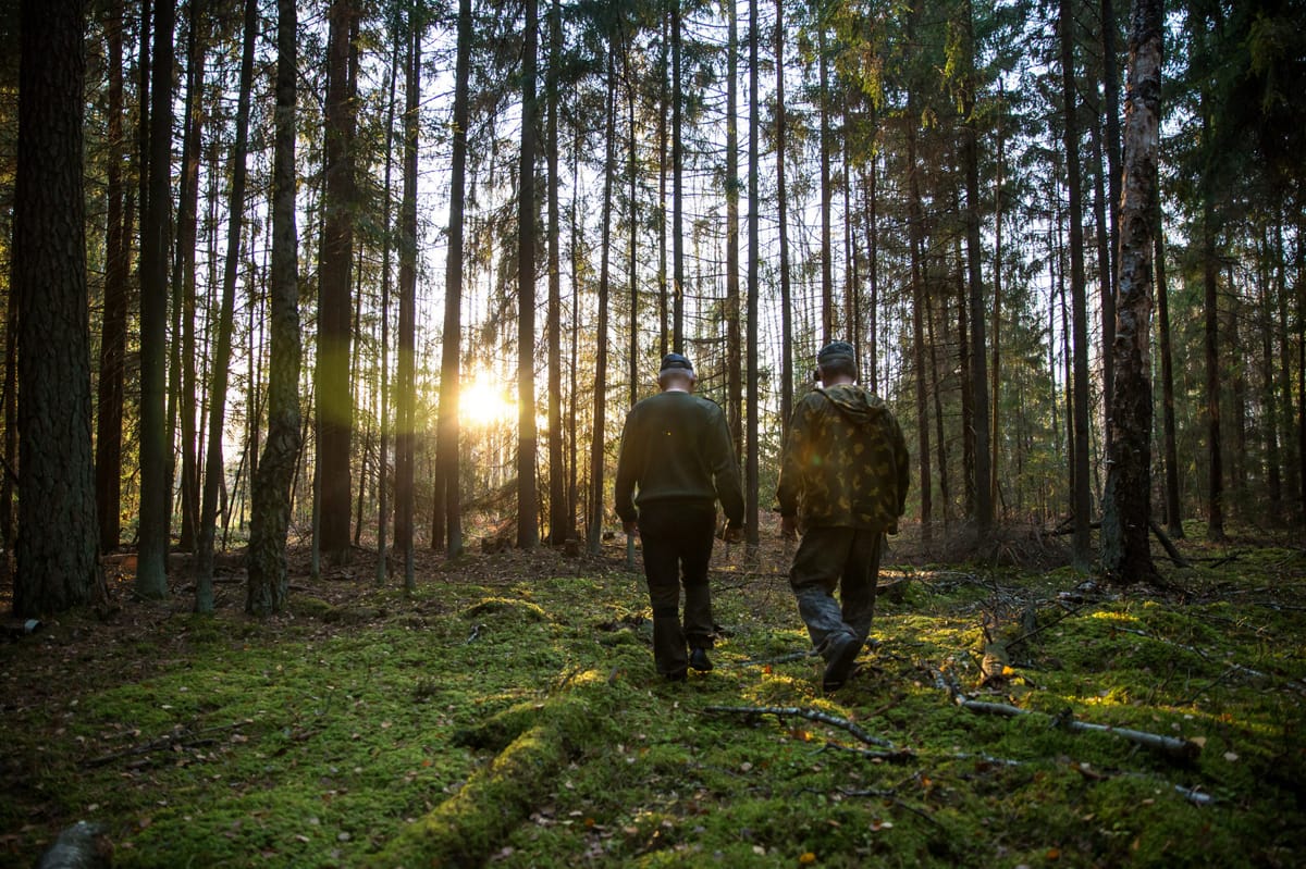 Кто в Беларуси зарабатывает на охоте. Топ-10 частных хозяйств