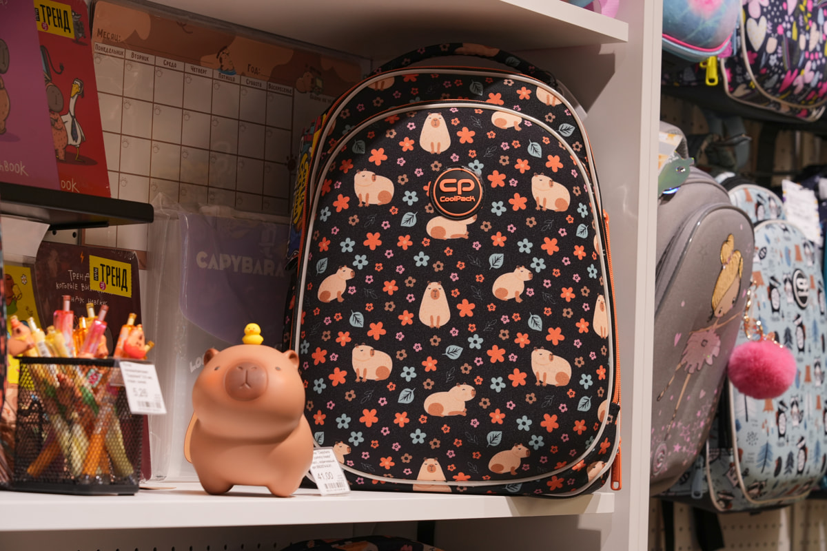 Back to School Fashion Week — рассказываем о самой трендовой канцелярии сезона