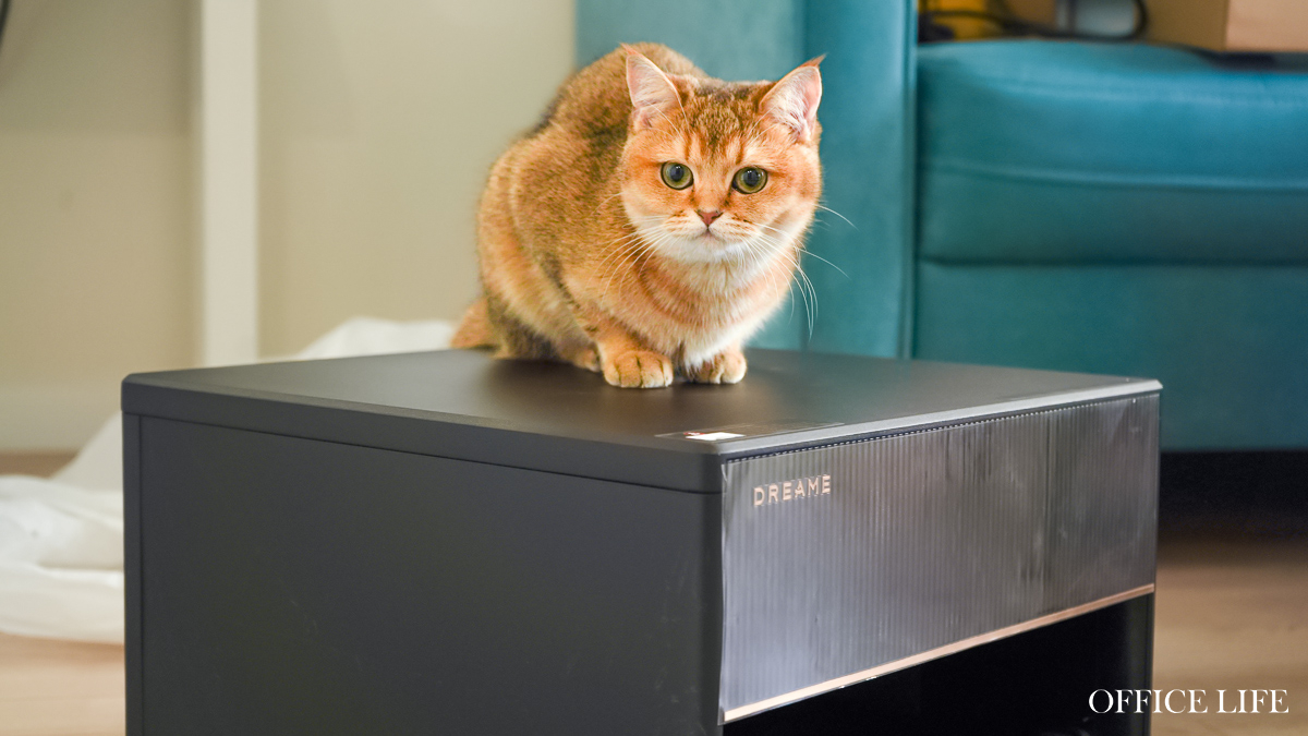 жентльмены в мире пылесосов. Как мы тестировали новые роботы-пылесосы с «ногами» и интеллектом