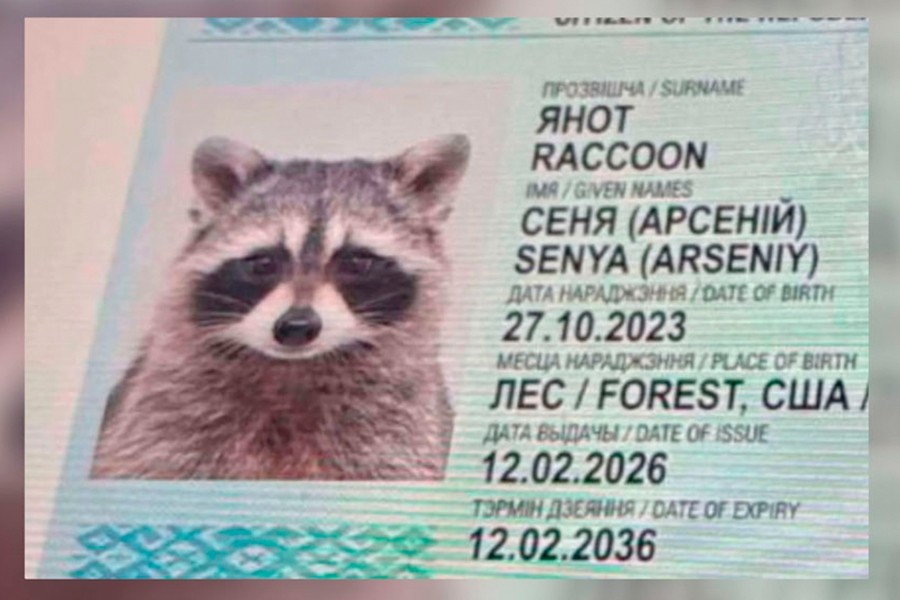 Помните приплывшего из США в Беларусь енота Сеню? Он оказался девочкой