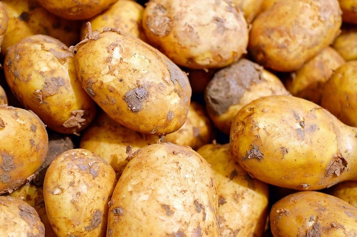 Белорусский айтишник просит защитить свой картофельный бизнес в России