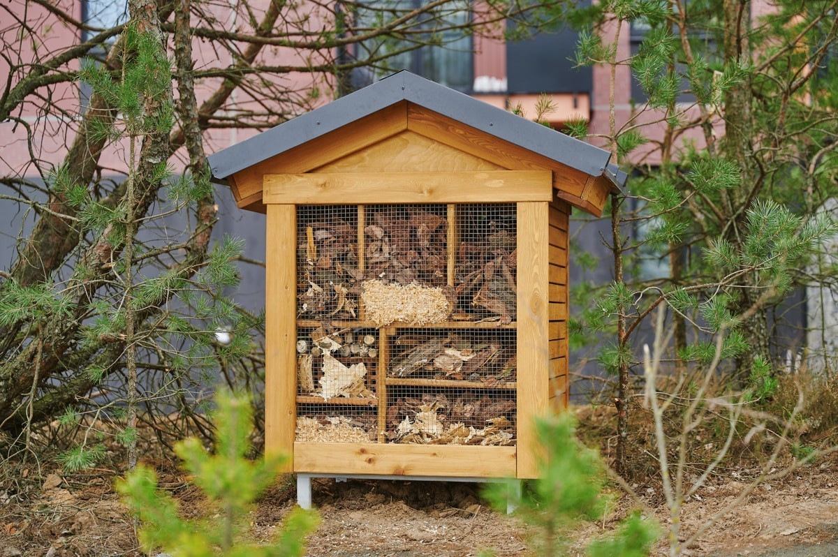 Что ждет Зеленую гавань в связи со строительством рядом нового жилого района? Поговорили с застройщиками