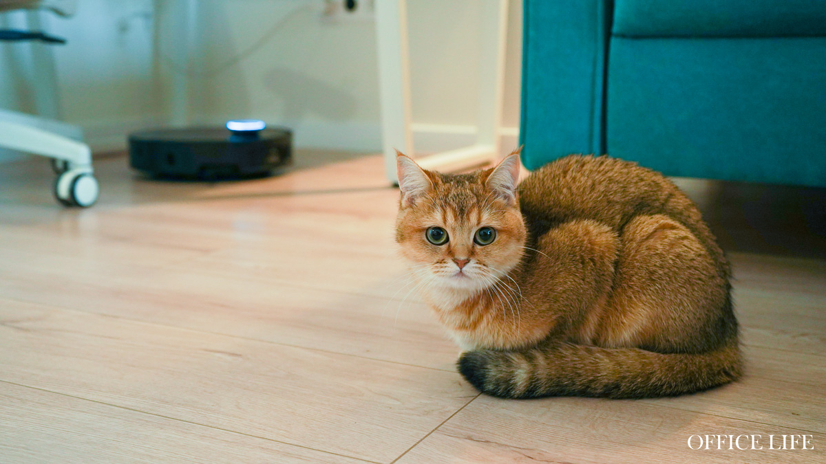 Джентльмены в мире пылесосов. Как мы тестировали новые роботы-пылесосы с «ногами» и интеллектом