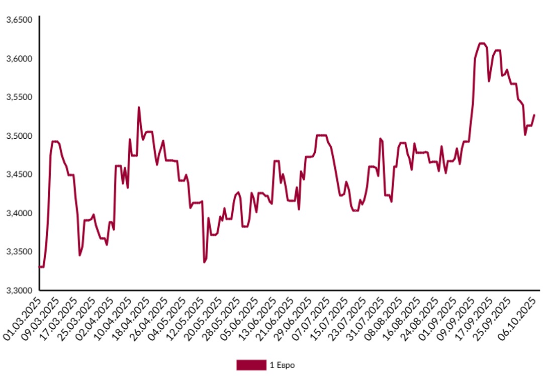 Курс евро в Беларуси может побить рекорд 2024 года. И вот почему