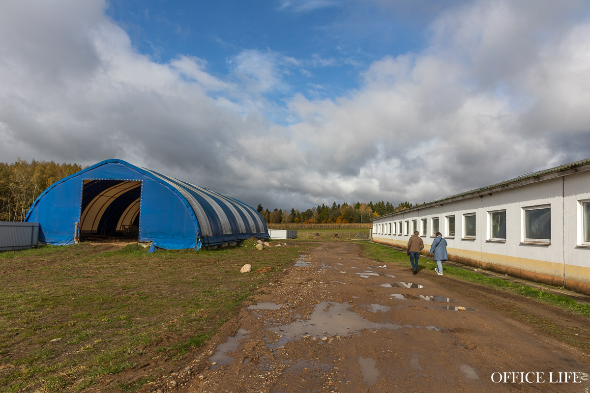 «Купите нас, недорого!» Что случилось с успешной козьей фермой и известным лабиринтом «Кукуполис»